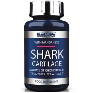 Comprar Colágeno y Articulaciones SCITEC ESSENTIALS - SHARK CARTILAGE - CARTILAGO DE TIBURON 75 CAPS marca Scitec Nutrition. ... Comprar Colágeno y Articulaciones SCITEC ESSENTIALS - SHARK CARTILAGE - CARTILAGO DE TIBURON 75 CAPS marca Scitec Nutrition. ...