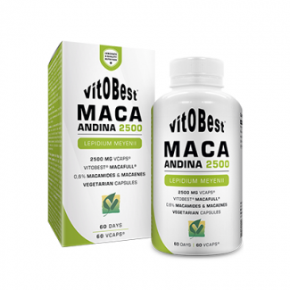 Comprar Vitaminas VITOBEST - MACA ANDINA 60 CAPS marca VitOBest. Precio 10,90 € Comprar Vitaminas VITOBEST - MACA ANDINA 60 CAPS marca VitOBest. Precio 10,90 €